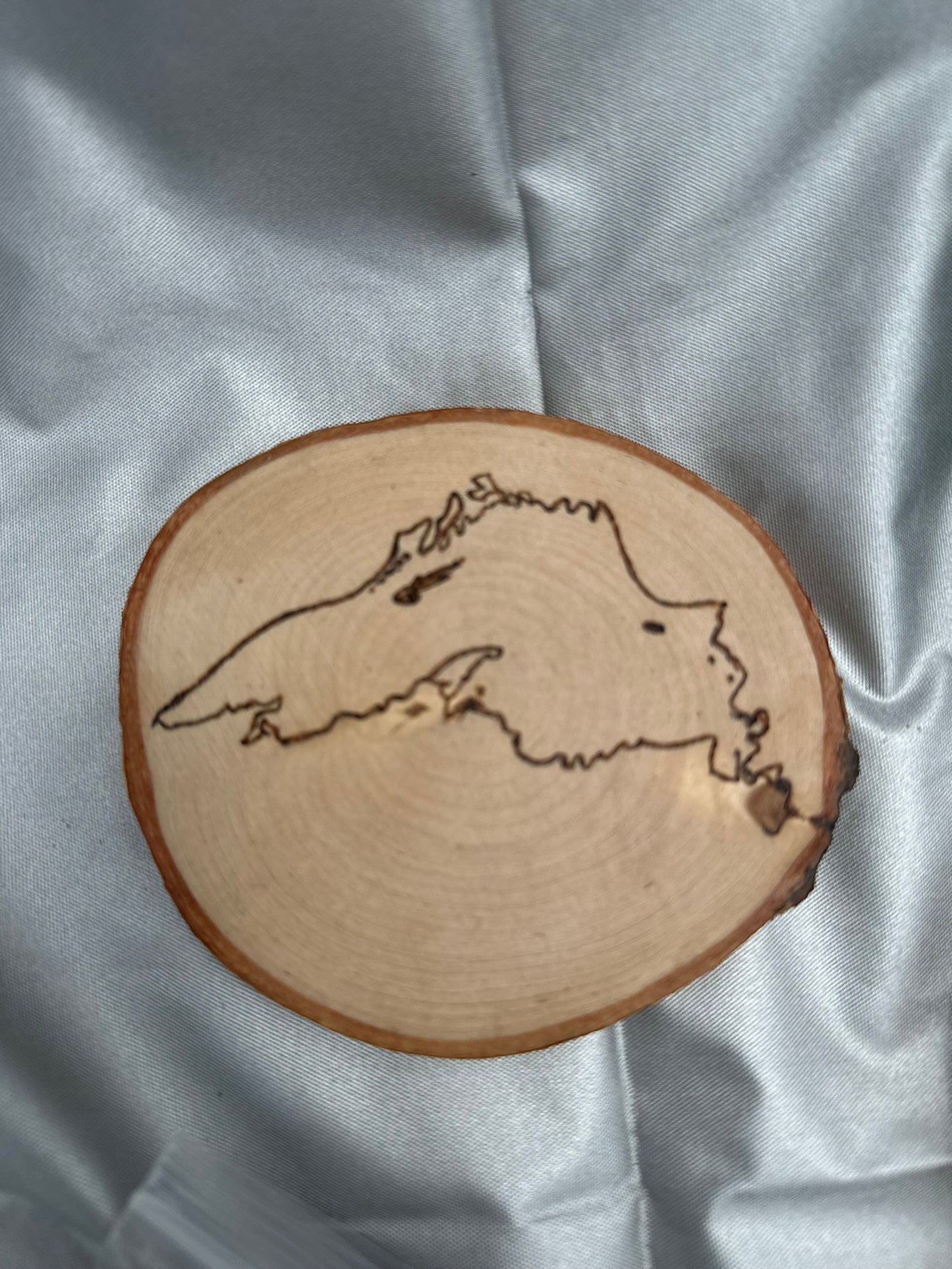 Lake Superior Large Coaster