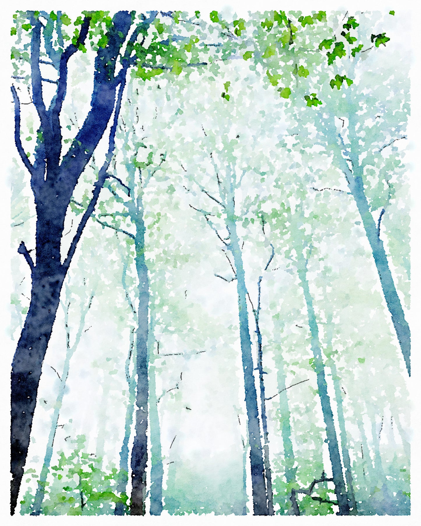 City of Hamilton Urban Forest - Print