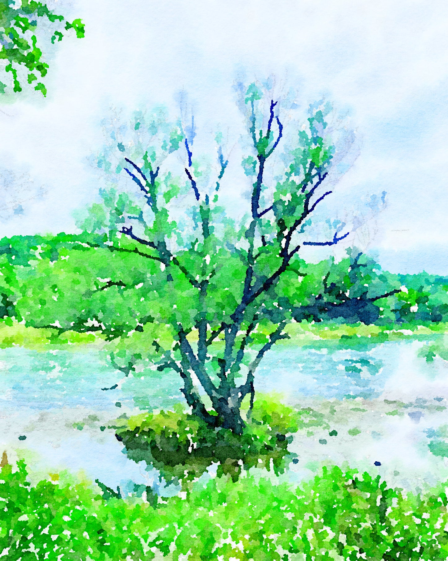 Lonely Tree in a River - Paris Ontario - Print