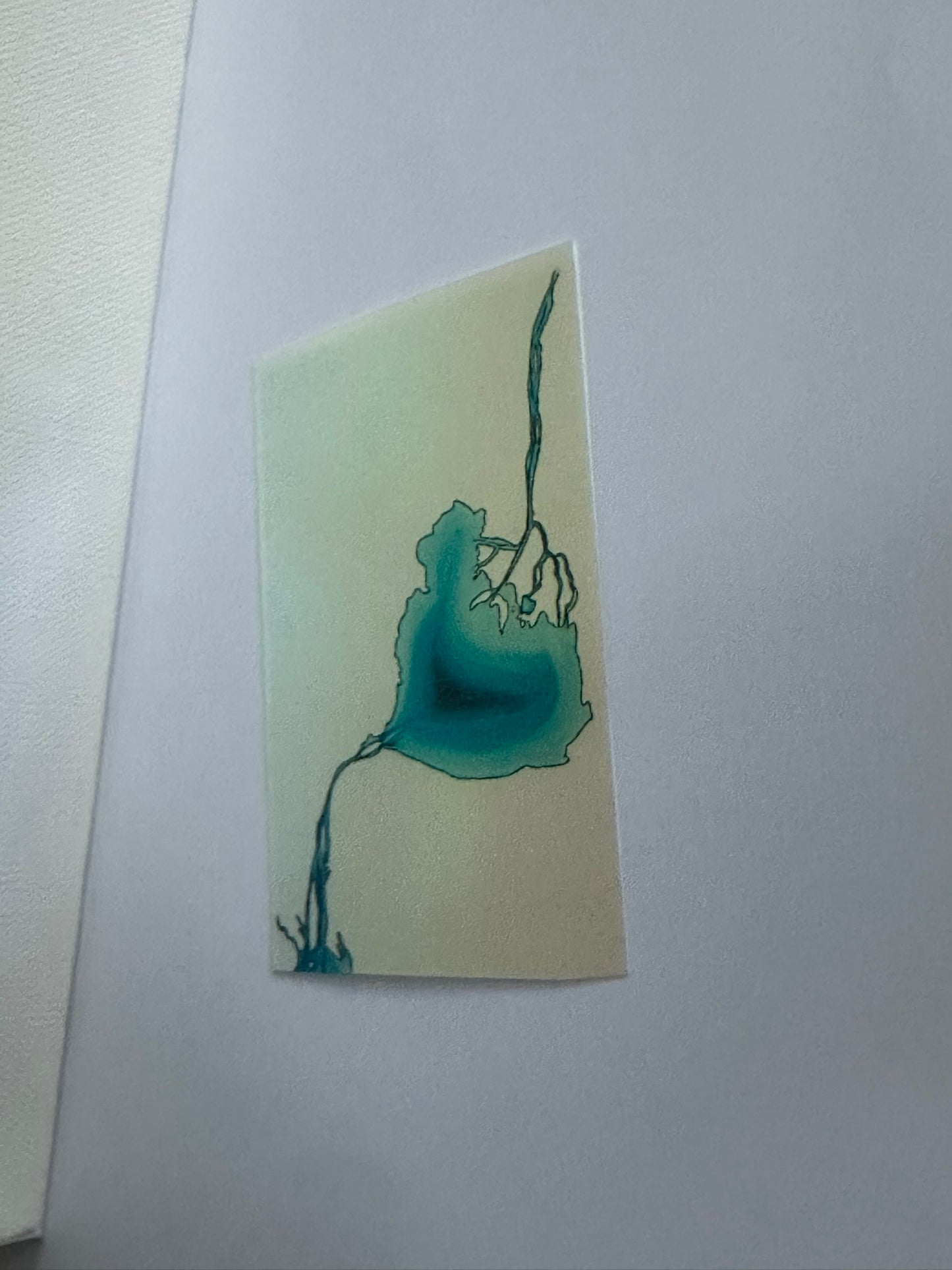 Lake St. Clair - Original Holographic Art Sticker