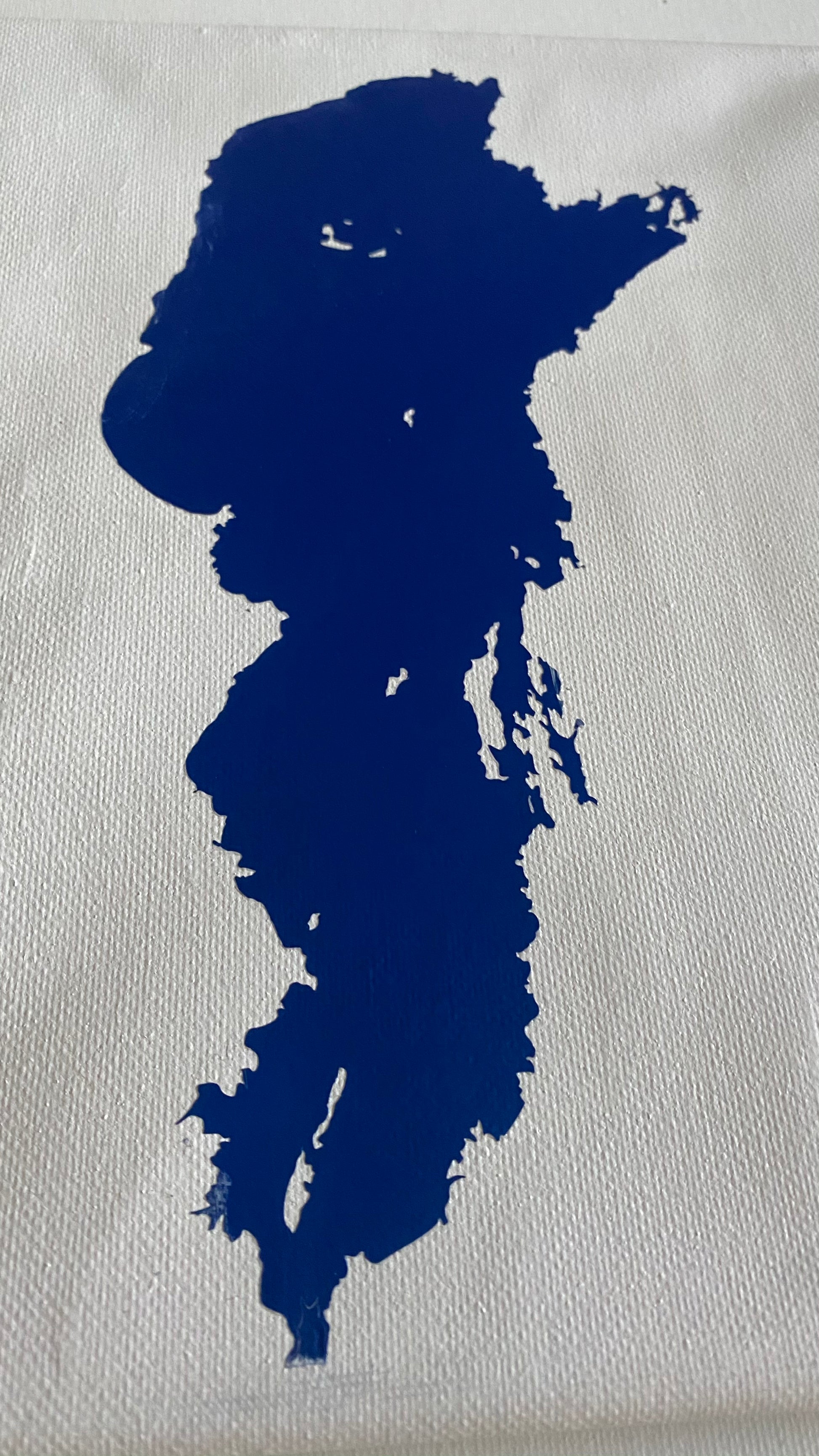 Lake Nipissing vinyl on canvas