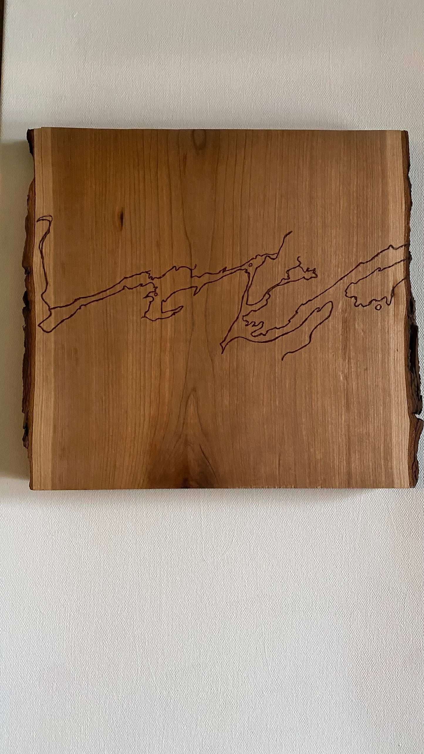 Canadian Lakes Bay of Quinte - hand burned shoreline 
