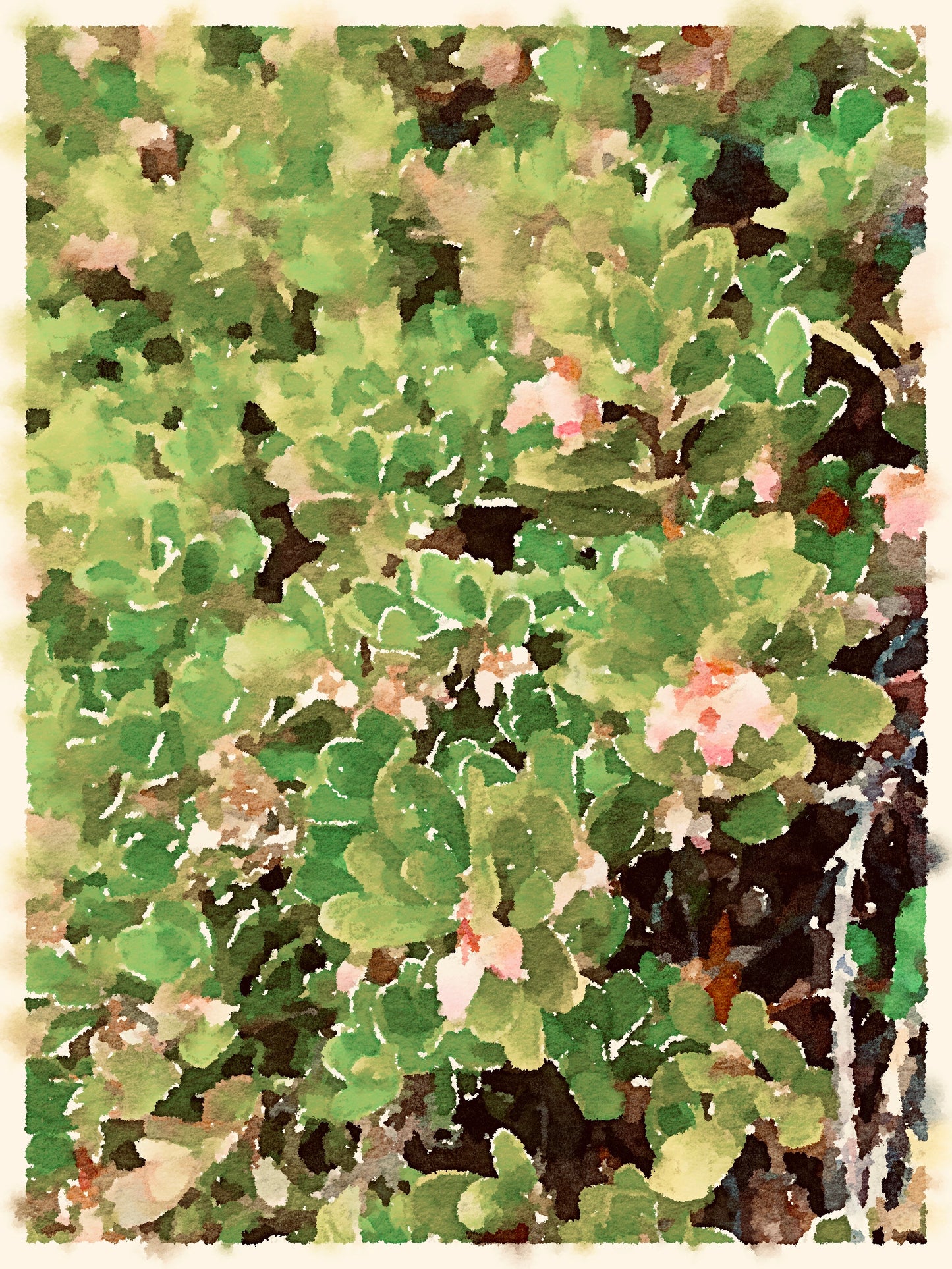 Flowers in Bloom - Print
