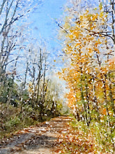 Load image into Gallery viewer, Along the Rail Trail leaves are mostly covering the ground and one side of the image has many leaves while the trees on the other side are bare. 
