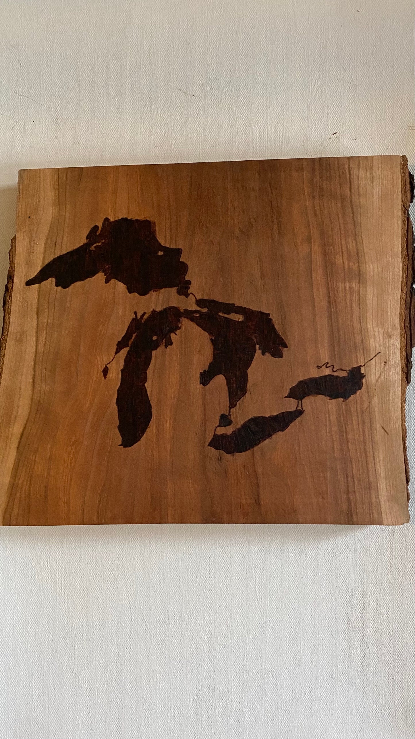 Canadian Lakes - Appalachian Great Lakes