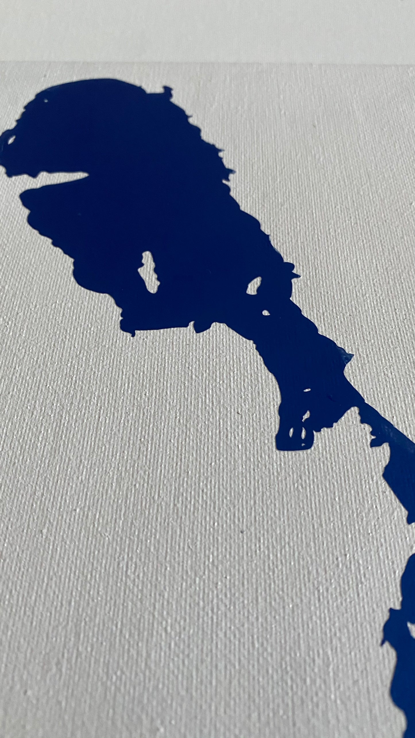 Canadian Vinyl Maps on Canvas - Lake Winnipeg, Manitoba
