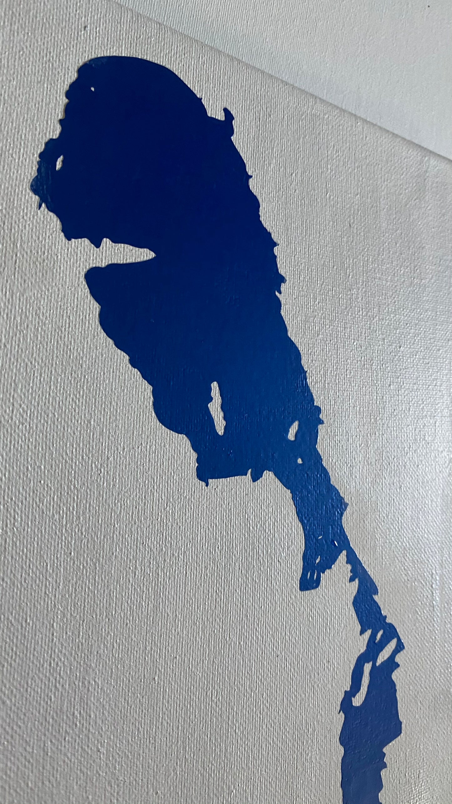 Canadian Vinyl Maps on Canvas - Lake Winnipeg, Manitoba