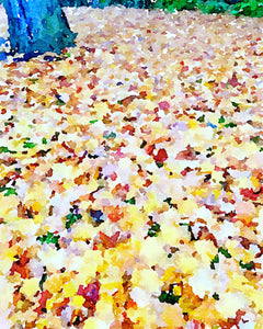 View of a leaf covered ground, with a large tree trunk in the left corner. Fall colours are visible in green, yellow, pinks and reds. City of Hamilton