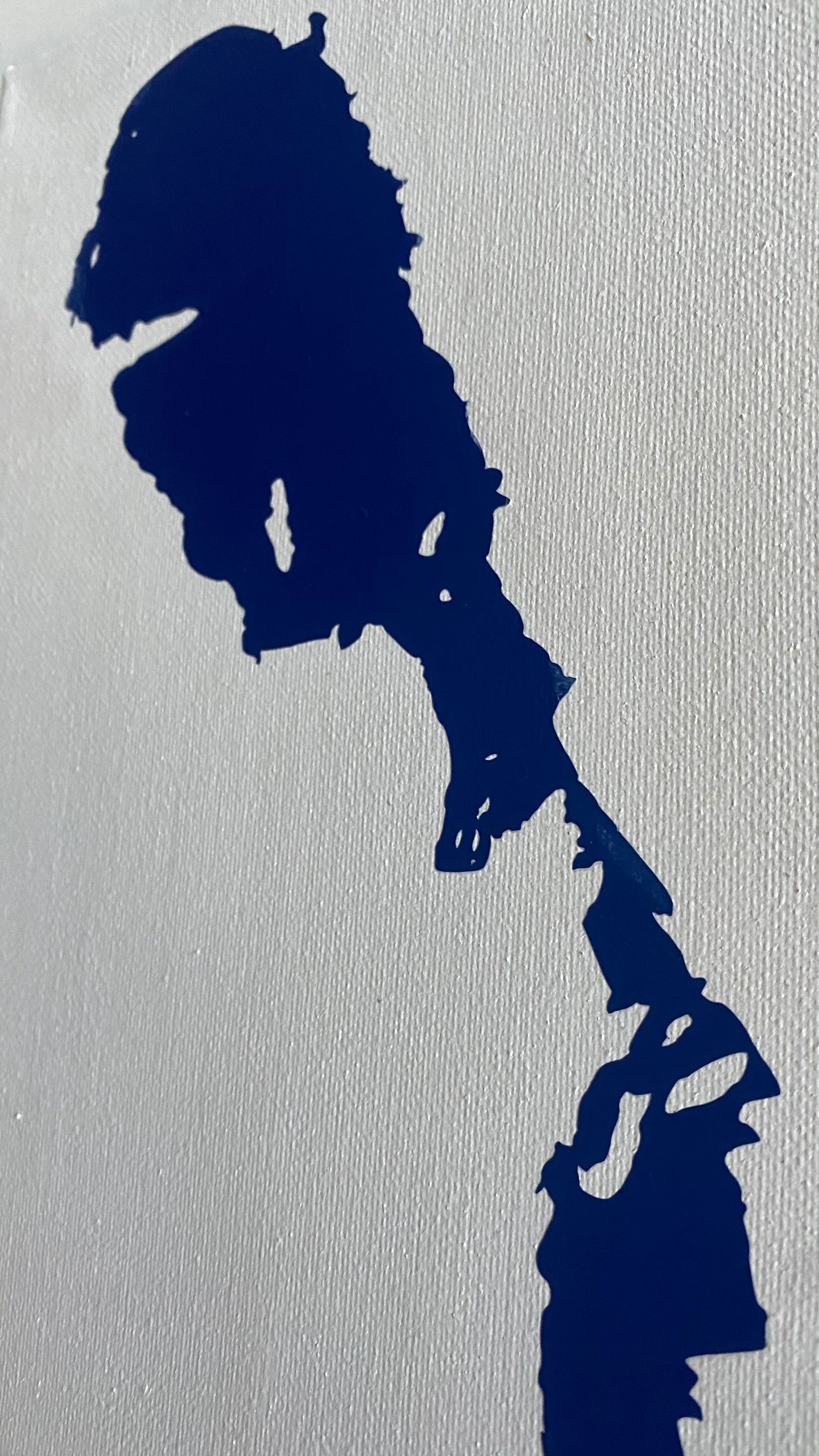 Canadian Vinyl Maps on Canvas - Lake Winnipeg, Manitoba